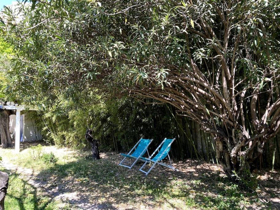 Villa Maison De Caractere Avec Jardin Arbore En