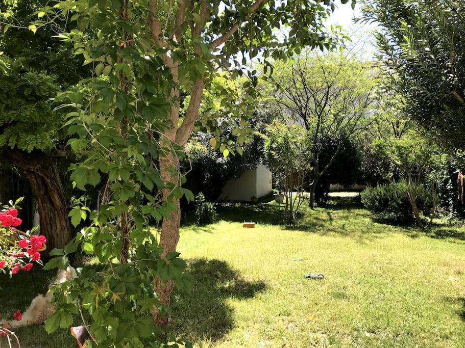 Maison De Caractere Avec Jardin Arbore En * Avignon